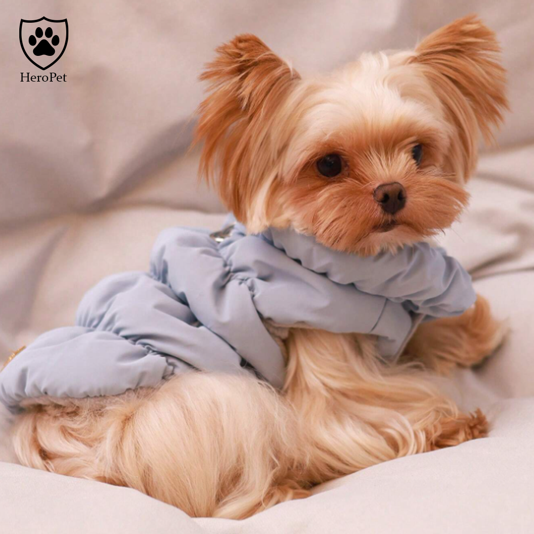 Giacca HeroPet
